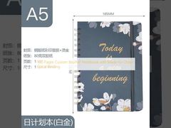 100-seitiges individuelles Notizbuch mit Spiralbindung nach Maß