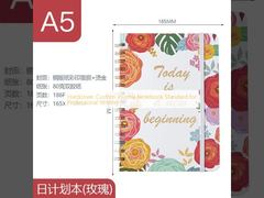 Hardcover Custom Journal Notebook Standard für professionelles Schreiben